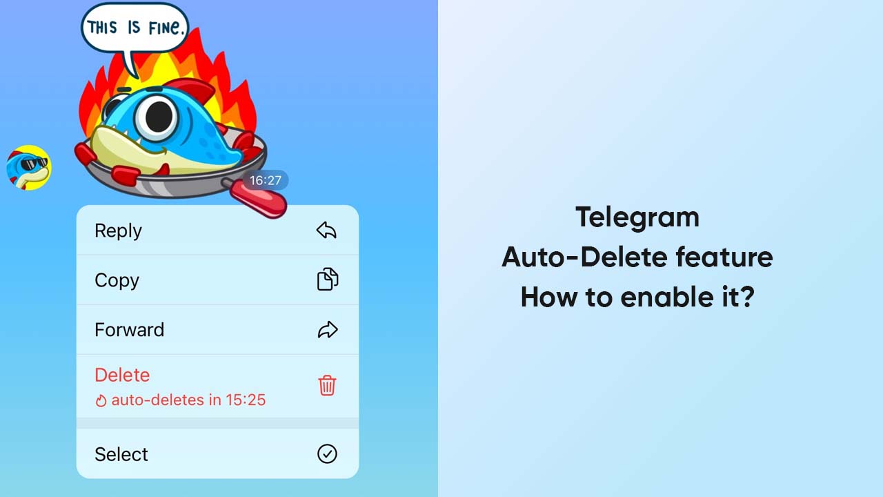 Telegram Auto-Delete feature