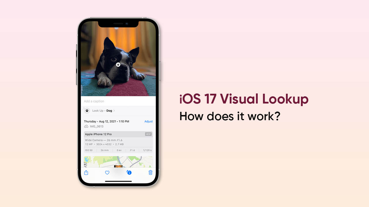 Apple iOS 17 Visual Lookup feature